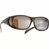 Alpina Sunglasses Overview Schwarz/braun