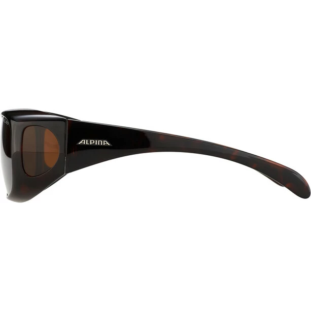 Alpina Sunglasses Overview Schwarz/braun 7 Alpina Sunglasses Overview Schwarz/braun – Bild 5