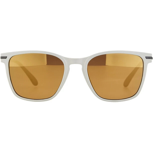 Alpina Yefe Brille Grau 4 Alpina Yefe Brille Grau – Bild 2