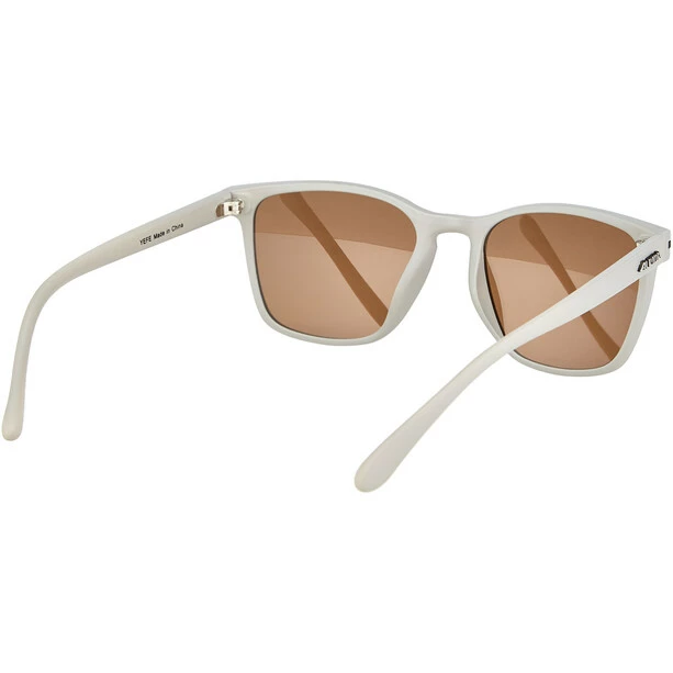 Alpina Yefe Brille Grau 5 Alpina Yefe Brille Grau – Bild 3