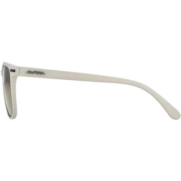 Alpina Yefe Brille Grau 7 Alpina Yefe Brille Grau – Bild 5