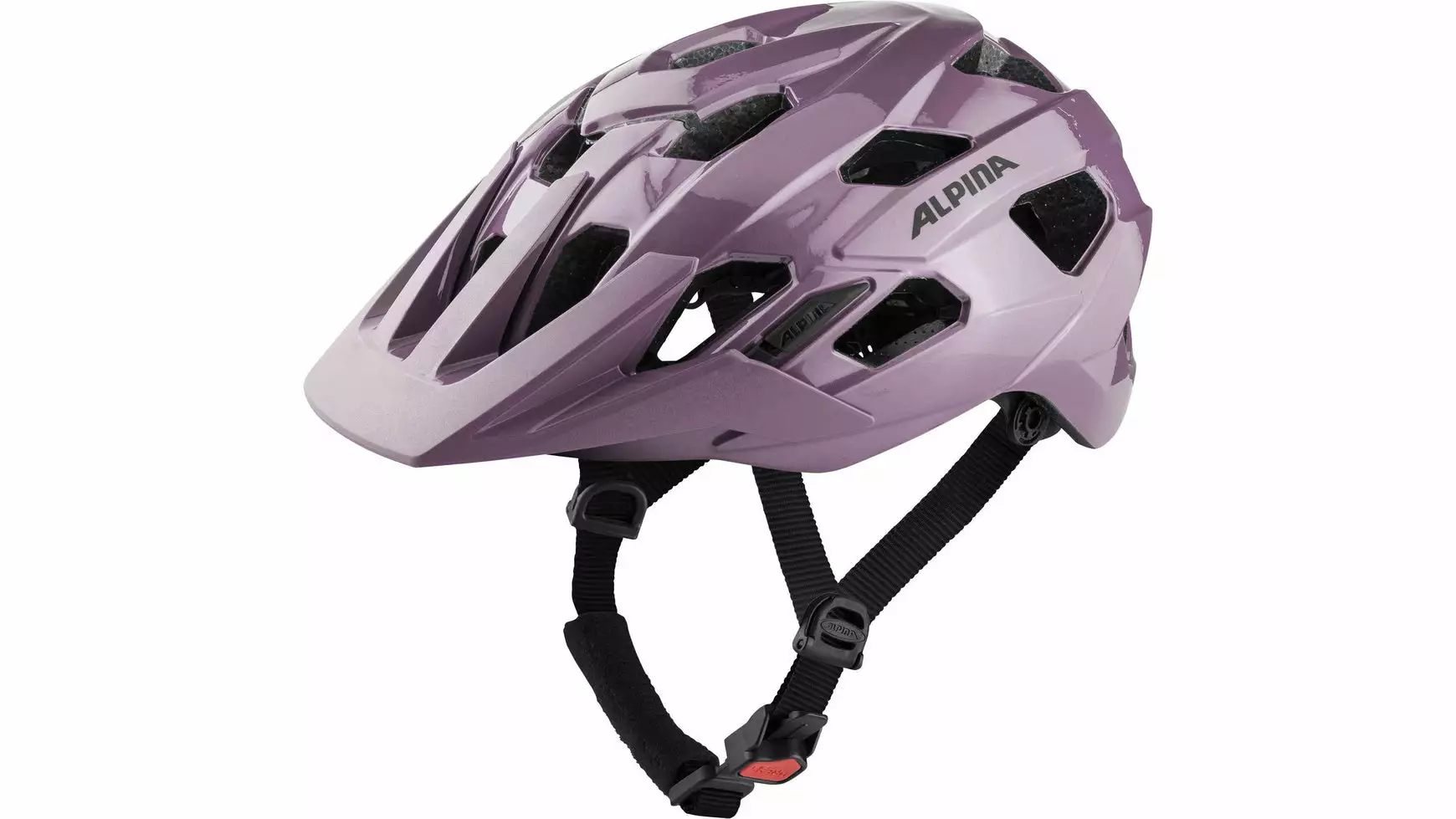 Alpina Anzana 22 Alpina Anzana – Bild 20