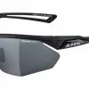Alpina Nylos HR Fahrradbrille